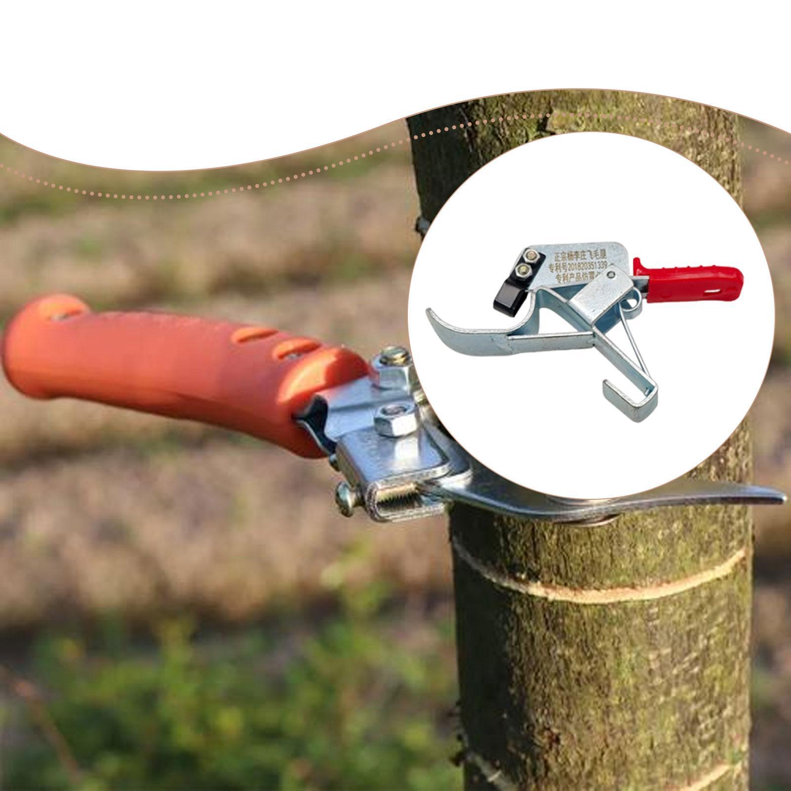 Ferramenta de corte para árvor - Gardening Tools Essential avaliação e preço